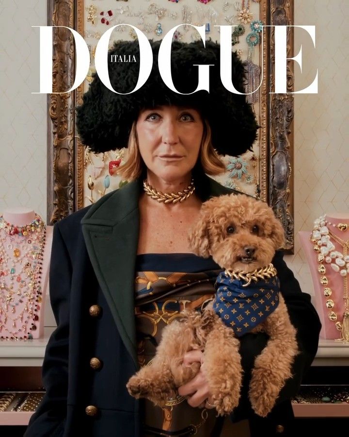 Dogue