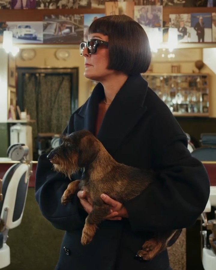 Dogue